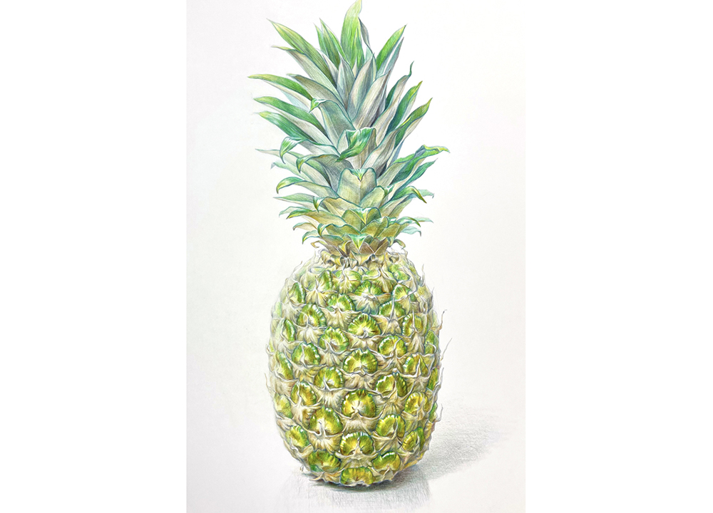 色鉛筆画（パイナップル）