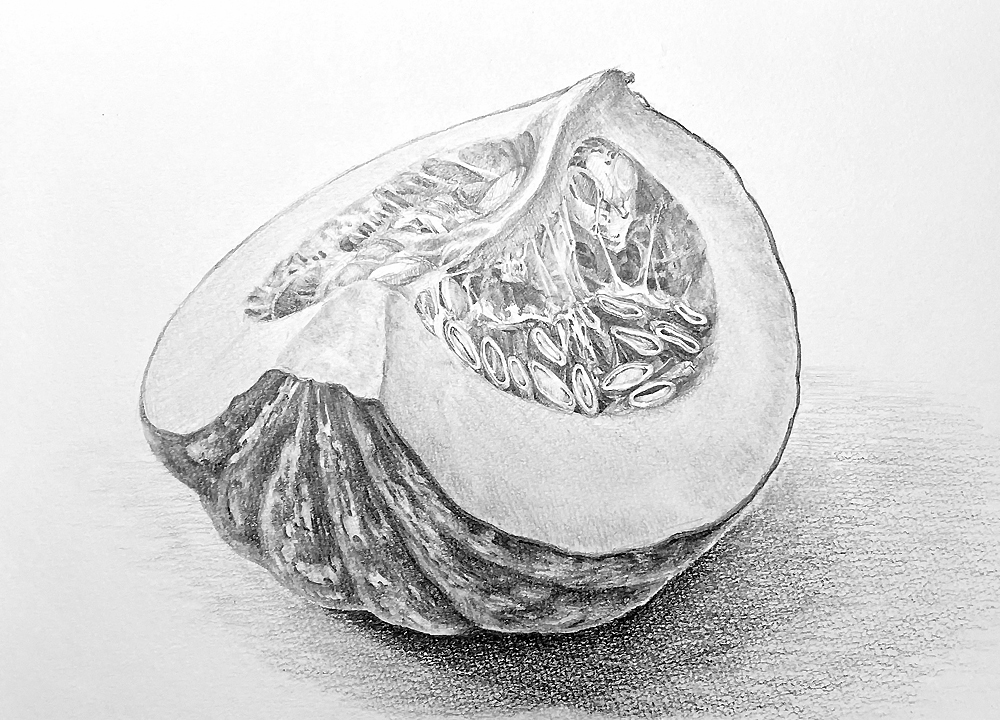 鉛筆デッサン事例(かぼちゃ)